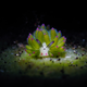 Illustration for article titled 2018s Award-Winning Ocean Photos Will Transport You to Another Planet